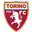 Logo Torino