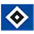 Logo Hamburger SV Academy